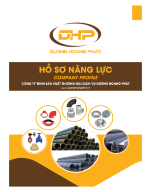 Mẫu thiết kế HSNL Dương Hoàng Phát