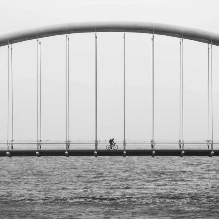 Làm thế nào để Distinctio omnis esse ut rerum. trong lĩnh vực nội thất